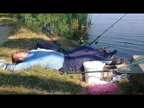 Видео: ПРИКОЛЫ ПРО РЫБАЛКУ 2025 - Самое смешное, ржака на рыбалке, до слез #9