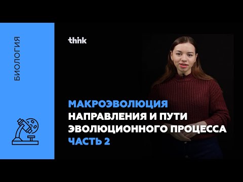 Видео: Макроэволюция. Направления и пути эволюционного процесса(часть 2) | Биология