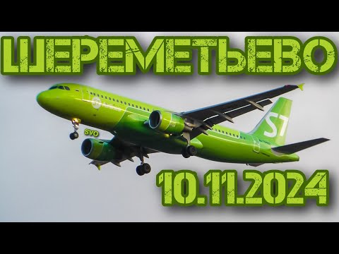 Видео: Споттинг в Шереметьево 10.11.2024