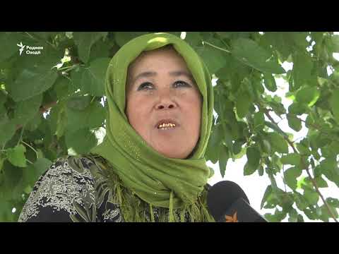 Видео: Рӯзгори муҳоҷирони дохилӣ дар Шаҳритус