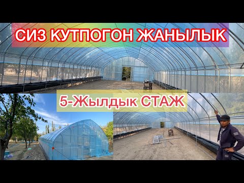 Видео: Бундай ЖАНЫЛЫКТАР КОБОЙО БЕРСИН!!!!