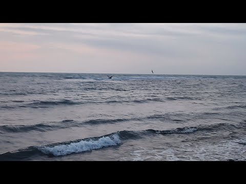 Видео: Псалом 45.Пісня любові.