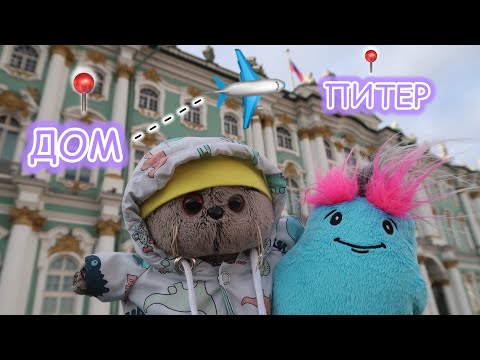 Видео: ВЛОГ-ПУТЕШЕСТВИЕ ОТ КОТА БАСИКА