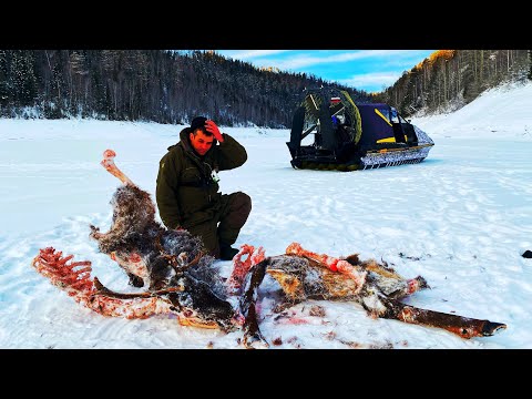 Видео: ЗАБРАЛИСЬ В ЖУТКИЕ ДИКИЕ МЕСТА ГДЕ ГОЛОДНЫЕ ВОЛКИ! рыбалка