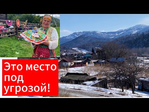 Видео: Переехали на алтай, чтобы жить в спокойствии. Не тут-то было!
