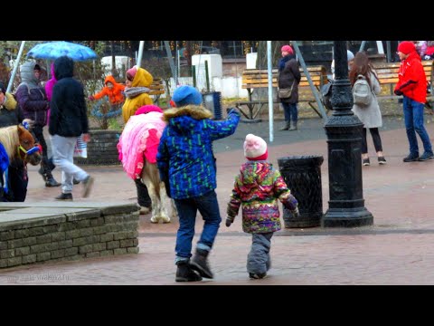 Видео: «Мне не взяли в стаж период ухода за ребенком»: разбираем, почему и что делать