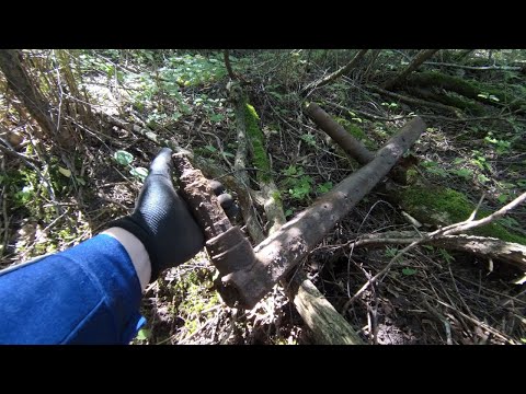 Видео: Открываются места для копа. урожай убрали. Металлокоп