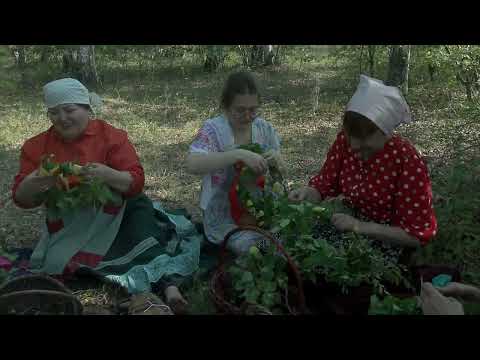 Видео: Праздник Иван Купала