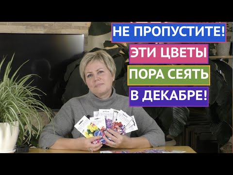 Видео: ЭТИ ЦВЕТЫ ПОРА СЕЯТЬ В ДЕКАБРЕ! ОТКРЫВАЕМ ПОСАДОЧНЫЙ СЕЗОН!
