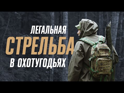 Видео: Как стрелять в лесу. Легально, безопасно, и никому не мешая. Пристрелка в охотугодьях. Шум