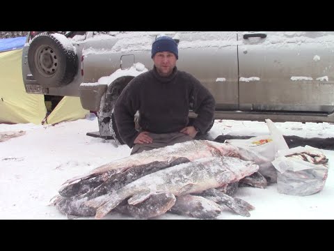 Видео: ЕСТЬ ТРОФЕЙ ПЕРВОЛЁДЬЯ. ПОЙМАЛИ ОГРОМНУЮ ЩУКУ. УХА ИЗ НАЛИМА. ДЕНЬ 3 РЕЗУЛЬТАТИВНЫЙ.