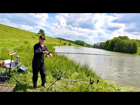 Видео: Вот это клев! Не успеваем забрасывать! С сыном на рыбалке!