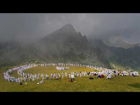 Видео: Паневритмия