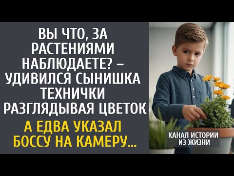 Видео: Вы за цветами наблюдаете? – удивился сын технички разглядывая что-то… А едва указал боссу на камеру