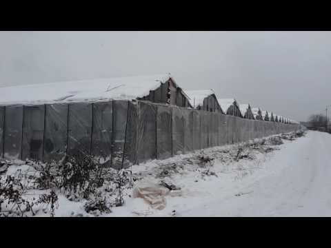 Видео: Теплица 1 га.  От развалин до посадки лука (ч.1)