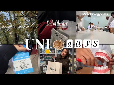 Видео: 2 курс стоматологии // наши студенческие будни // STUDY VLOG