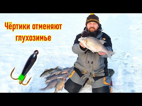 Видео: ЧЁРТИКИ ОТМЕНЯЮТ ГЛУХОЗИМЬЕ ! Отличная рыбалка с безнасадками !