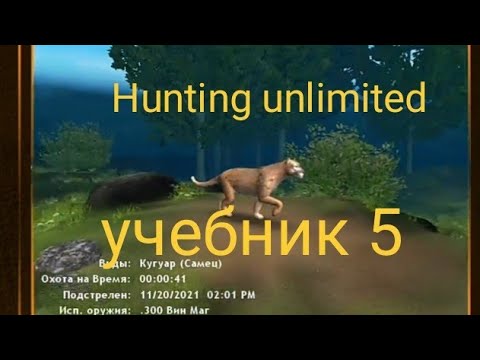 Видео: Hunting Unlimited 2010. Учебник :5 следы