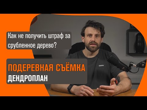 Видео: Порубочный билет и подеревная съемка | Срубил дерево - получил штраф // Геомер групп