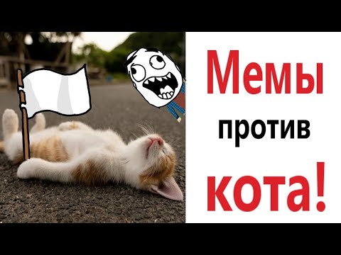 Видео: Лютые приколы! МЕМЫ ПРОТИВ КОТА !!! Самое смешное видео! Засмеялся проиграл! – Domi Show!