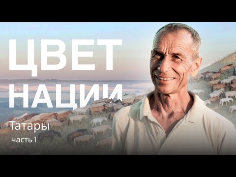 Видео: Тайна возрождения уникальной породы лошадей в Татарстане