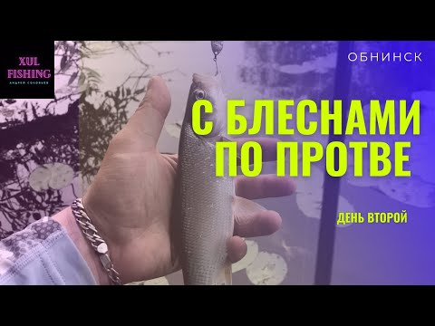 Видео: Второй день в Калужской области ! Река Протва ! Жерех на блесну !