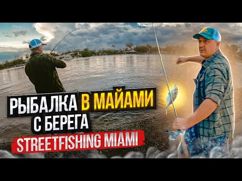 Видео: STREETFISHING MIAMI. РЫБАЛКА в МАЙАМИ. ТАКОГО Я НЕ ОЖИДАЛ. BassProShop. ЛИЦЕНЗИЯ ДЛЯ РЫБАЛКИ ФЛОРИДА