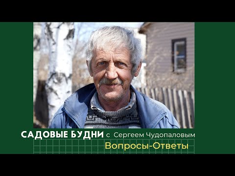 Видео: Садовые Будни с Сергеем Чудопаловым. Отвечаем на Ваши вопросы.