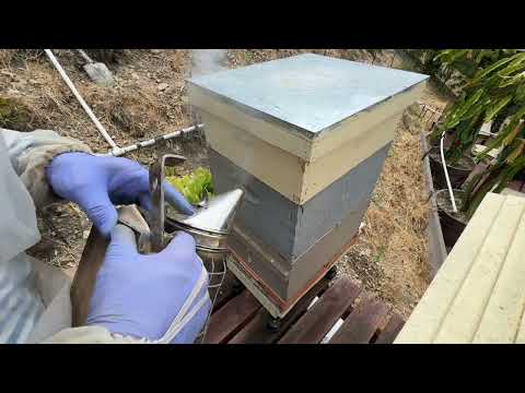 Видео: Самый лучший Американский улей- best American hive