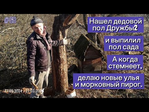 Видео: Нашел дедовой пол Дружбы2 и выпилил пол сада. А когда стемнеет, делаю новые улья и морковный пирог.