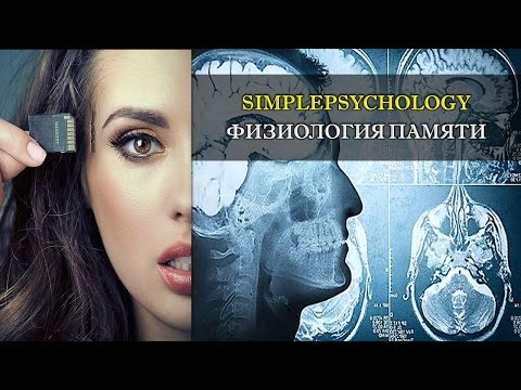 Видео: Психология памяти. Физиология памяти и воспоминаний.