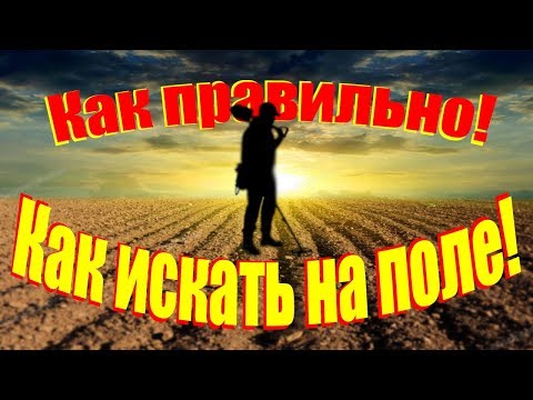 Видео: #Урок.Как правильно искать монеты на поле, советы начинающим.