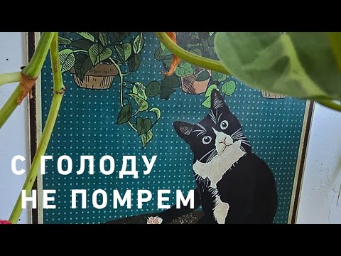Видео: Наконец-то 🩵‼️купила еду 🥴💯‼️