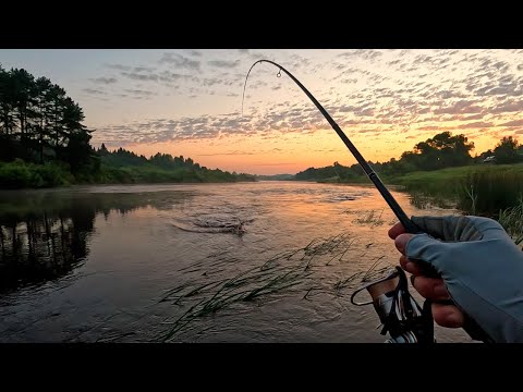 Видео: Как только зашло солнце НАЧАЛОСЬ!!! Трофеи ловятся НОЧЬЮ! Жерех и Голавль на воблеры