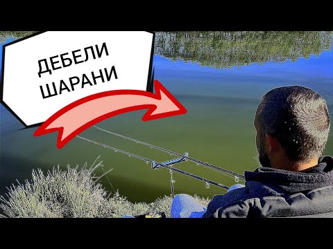 Видео: ШАРАНИ на НОВ ВОДОЕМ! РИБОЛОВ НА ЯЗОВИР ПАЛИЦИ.