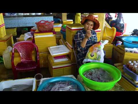Видео: Полная версия. Рыбные рынки Камбоджи.