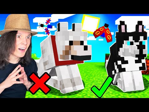 Видео: ТОП 10 ОБНОВЛЕНИЙ КОТОРЫЕ ВСЕ ЖДУТ В МАЙНКРАФТ