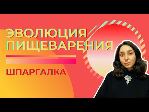 Видео: Пищеварительная система животных, эволюция — Шпаргалка. ЦТ, ЕГЭ, ЗНО.