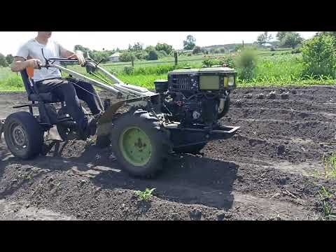 Видео: ОКУЧИВАНИЕ КАРТОФЕЛЯ МОТОБЛОКОМ  (диски или плужки что выбрать?)