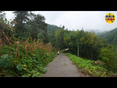 Видео: Сельские дороги Китая – Юньнань: дорога в горы, Тянь Юань Мэй Цзин, посёлок Туаньцзе (часть 1)