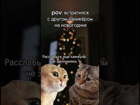 Видео: Обещаем не нервничать в новом году! (по возможности)#новыйгод #2024 #экзамены #ЕГЭ #школа #каникулы