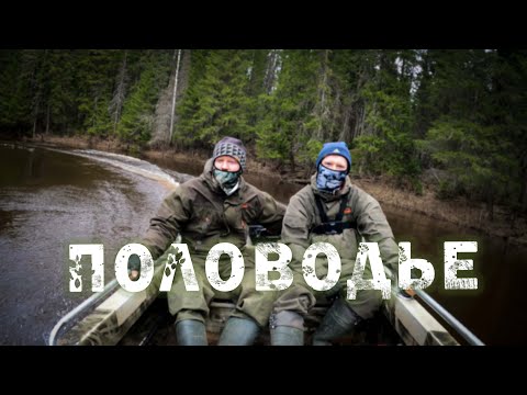 Видео: В половодье по лесной реке/ Неман 1 на TOHATSU 9.8 4T