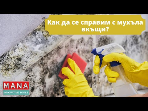 Видео: Как да се справим с домашен мухъл? Въпрос от Деси Костадинова от Австрия.