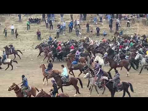 Видео: бузкаши н панч 23 02 2023