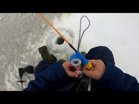 Видео: Первый лёд на озере Стерж  Ловим окуней по проверенным клёвым местам