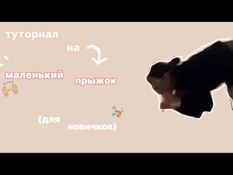 Видео: туториал на маленький прыжок !!🫰🏻🏹 *советы, упражнения..*