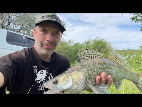 Видео: Такой рыбалки , я не ожидал .