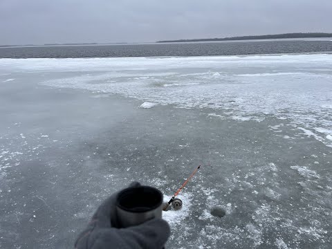 Видео: Первый лёд. Рыбалка на судака в Саратове.Ловля судака на Волге. Рыбалка 2022-2023