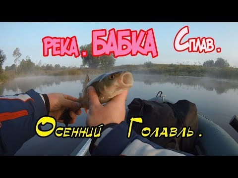 Видео: Сплав по реке Бабка, в поисках белого хищника