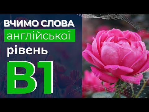 Видео: Вчимо слова англійської мови рівень В1 - Англійська слова лекго та швидко